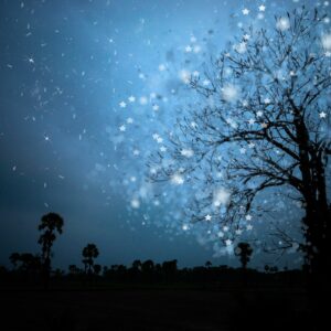 L’Essentiel Professionnel (sans ebook)