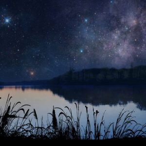 Les sentiers silencieux (sans ebook)